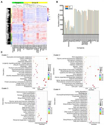 Chromatin Regulators Ahc1p and Eaf3p Positively Influence Nitrogen Metabolism in Saccharomyces cerevisiae